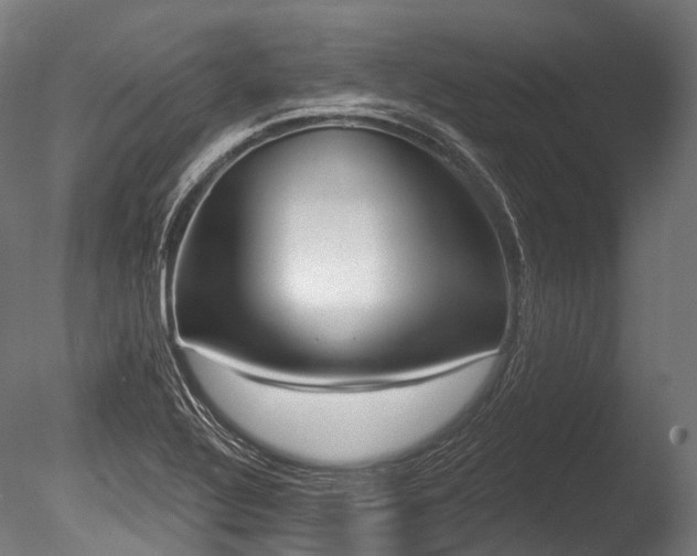X0000086001320200703231134