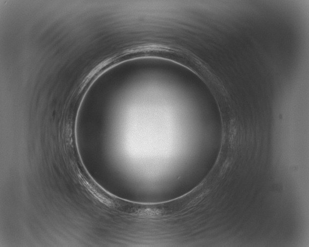 X0000086001321200703231135