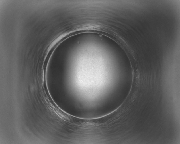 X0000086001324200703231135