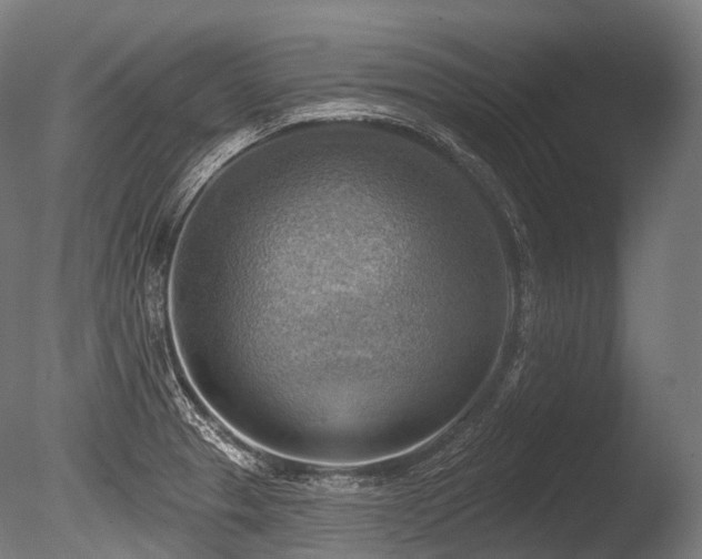 X0000086001329200703231135