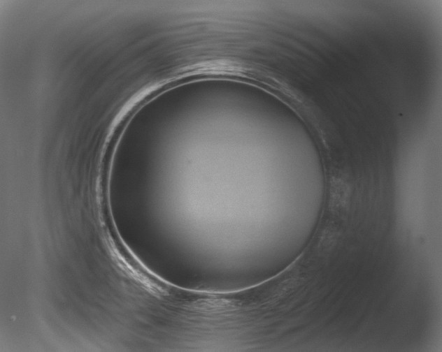 X0000086001331200703231135