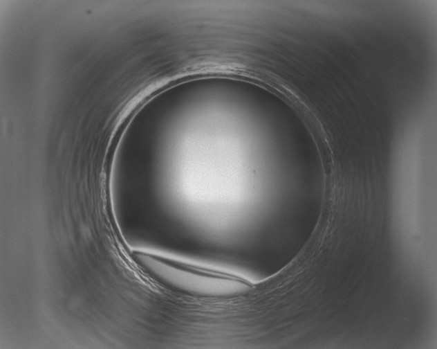 X0000086001332200703231135