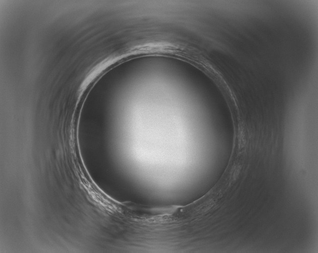 X0000086001336200703231135