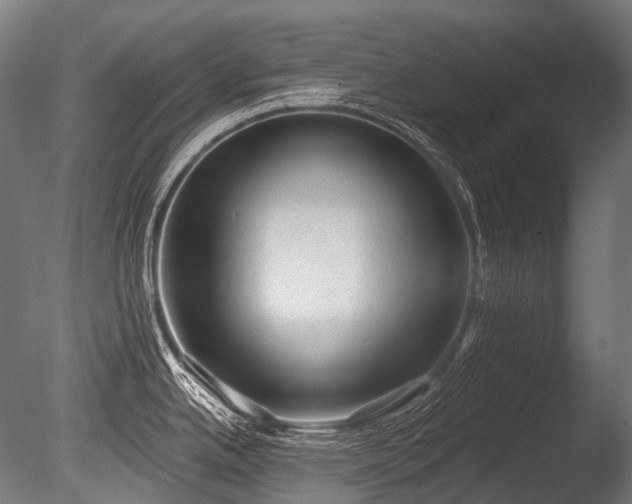 X0000086001342200703231135
