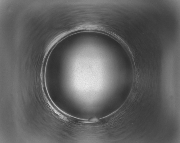 X0000086001343200703231135