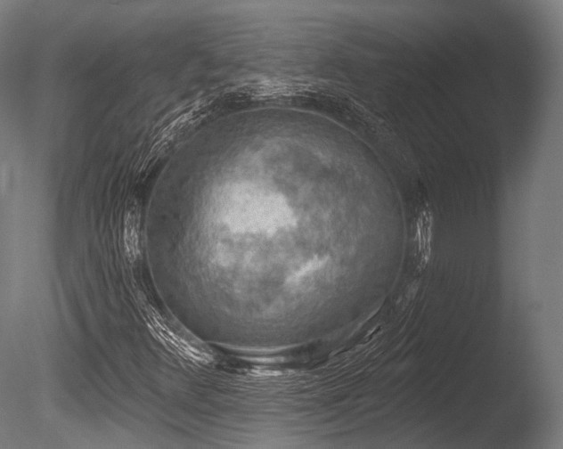 X0000086001348200703231134