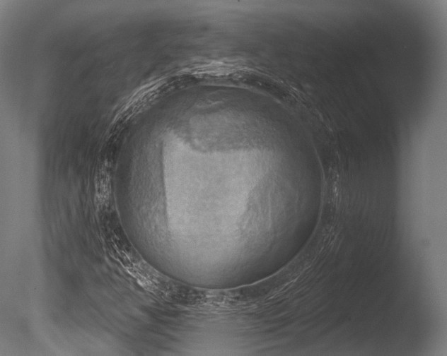 X0000086001350200703231134