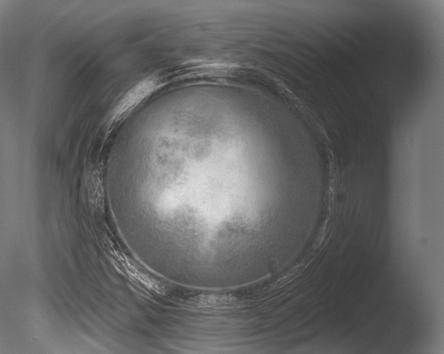 X0000086001354200703231134