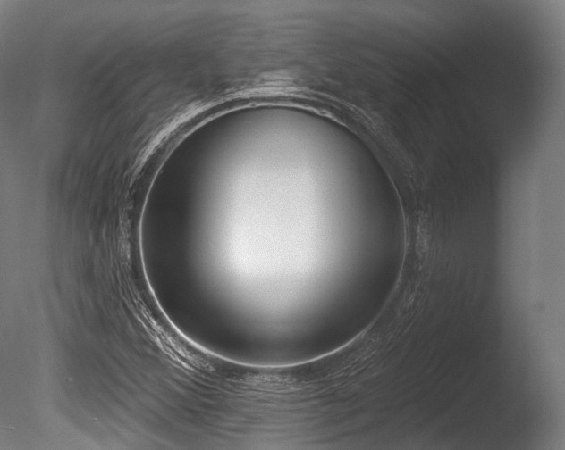 X0000086001356200703231134