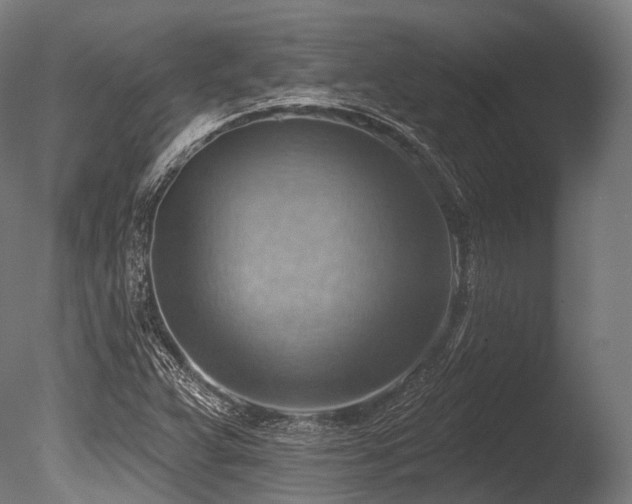 X0000086001359200703231134