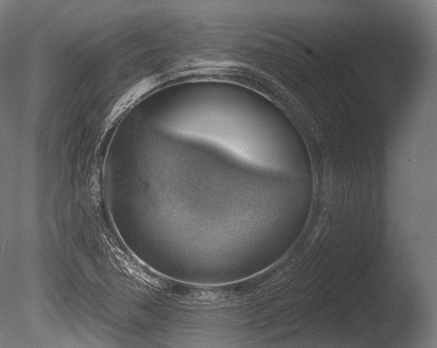 X0000086001362200703231134