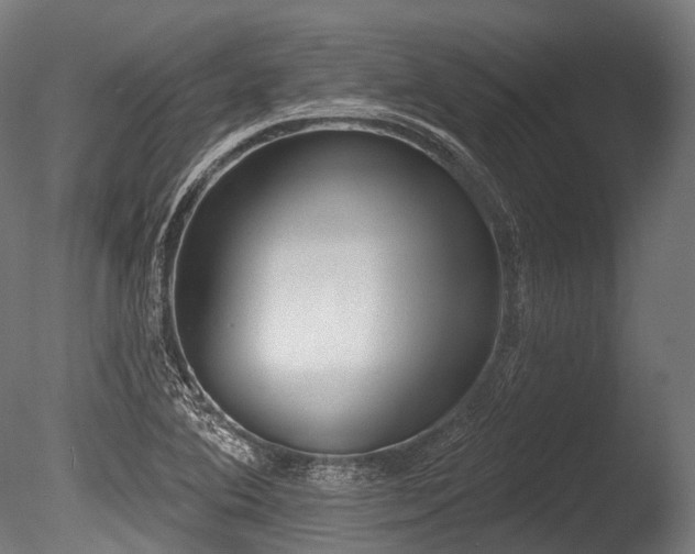 X0000086001364200703231134