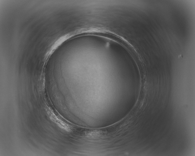 X0000086001367200703231134