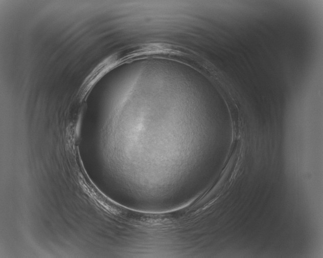 X0000086001369200703231134