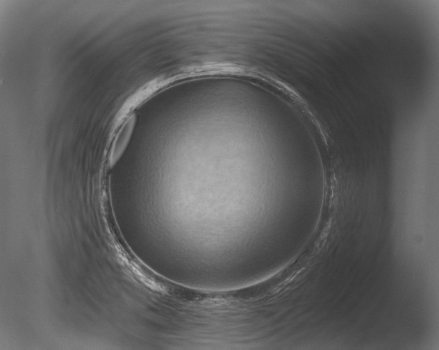 X0000086001373200703231134
