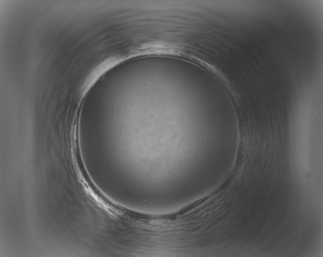 X0000086001383200703231133