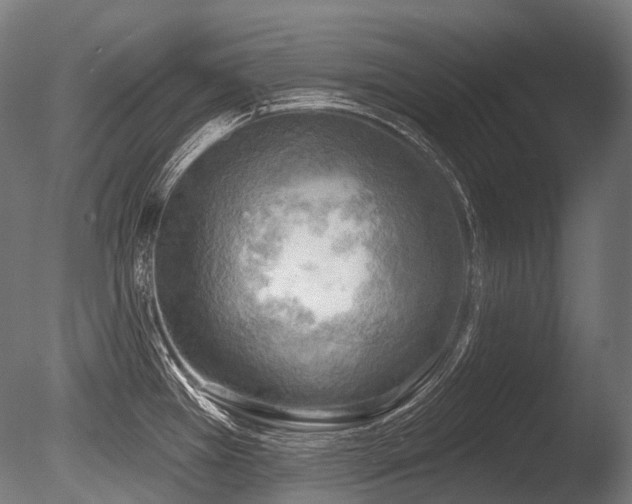 X0000086001385200703231133