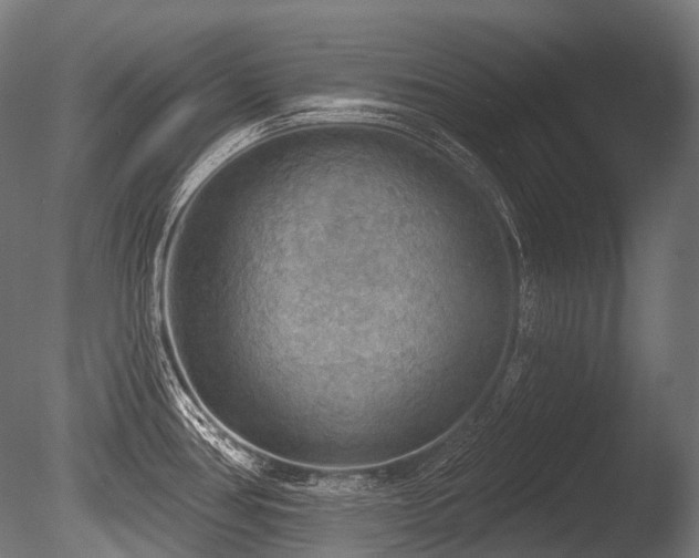 X0000086001386200703231133