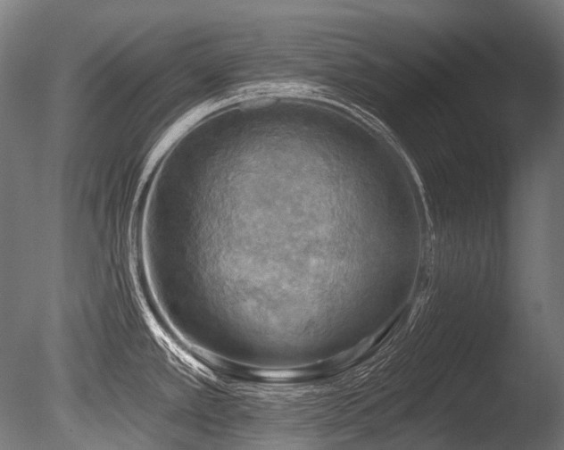 X0000086001389200703231133