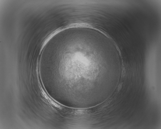 X0000086001390200703231133