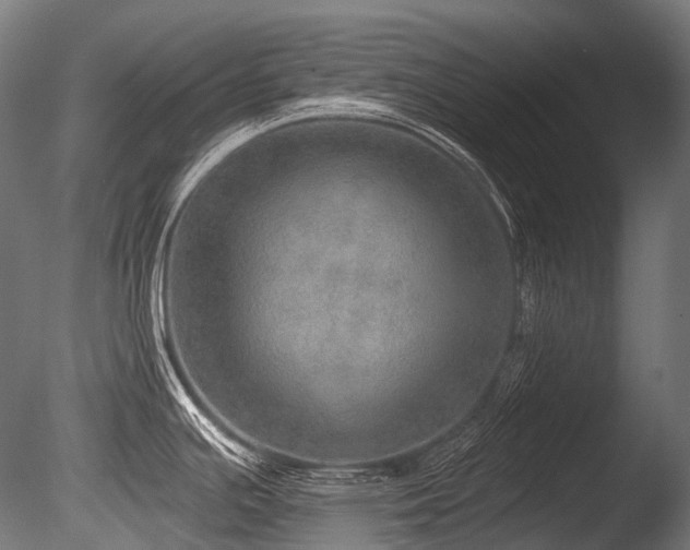 X0000086001391200703231133
