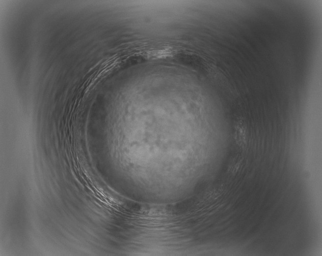 X0000086001393200703231132