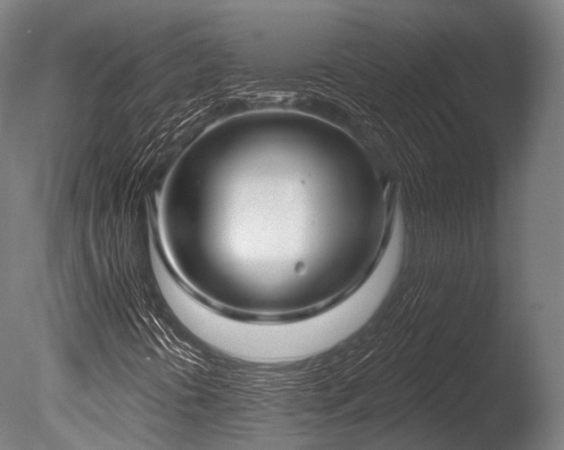 X0000086001394200703231132