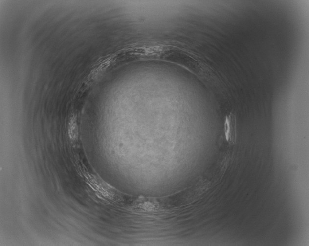 X0000086001395200703231132