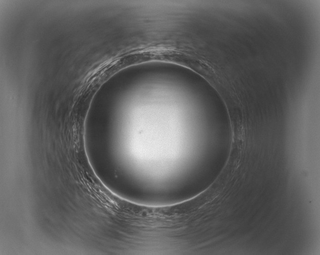 X0000086001398200703231132