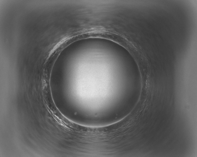 X0000086001400200703231133