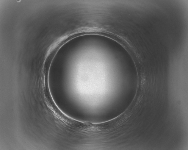 X0000086001414200703231133