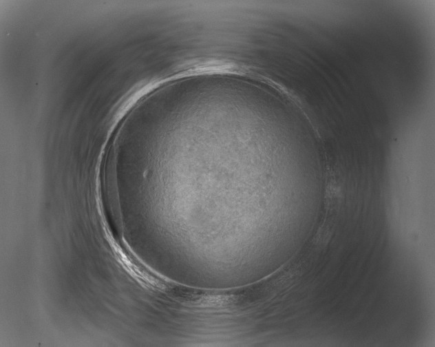 X0000086001423200703231133