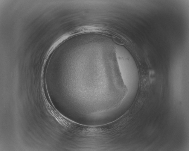 X0000086001427200703231133