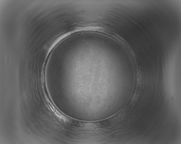 X0000086001436200703231133