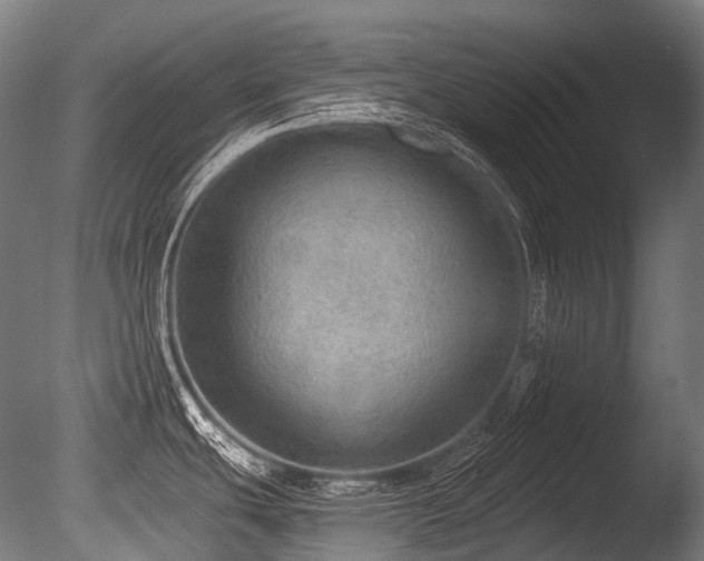X0000086001439200703231133