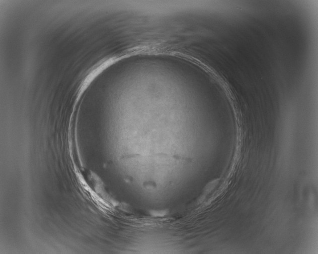X0000086001440200703231133