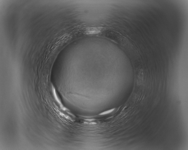 X0000086001441200703231132