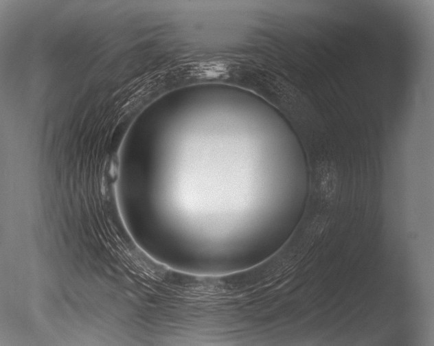 X0000086001442200703231132