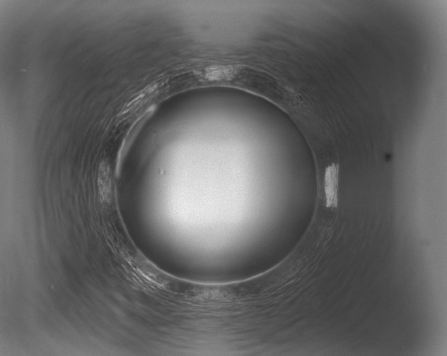 X0000086001443200703231132
