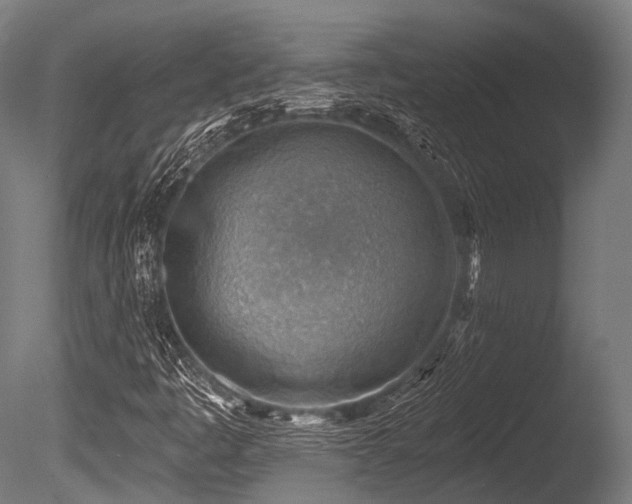 X0000086001445200703231132