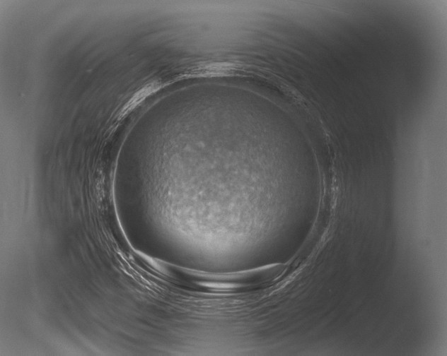 X0000086001449200703231132