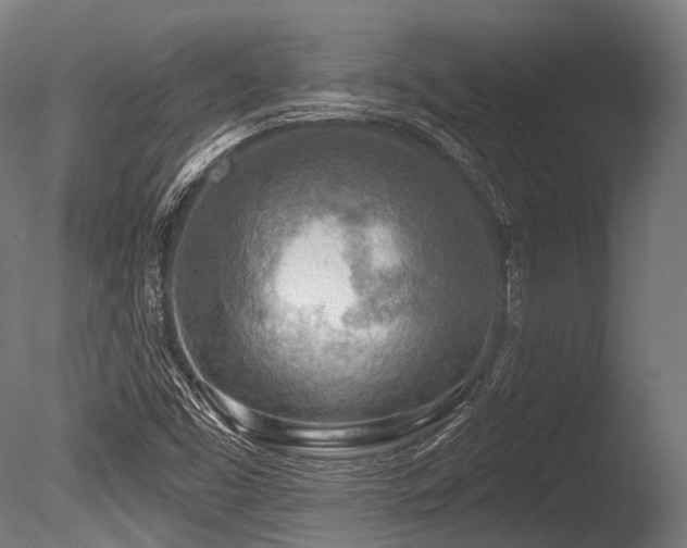 X0000086001453200703231132