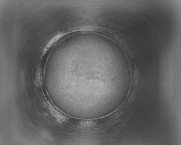 X0000086001454200703231132