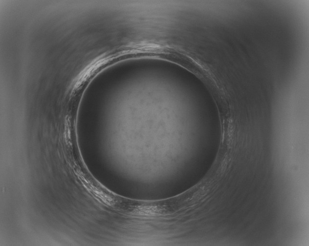 X0000086001455200703231132