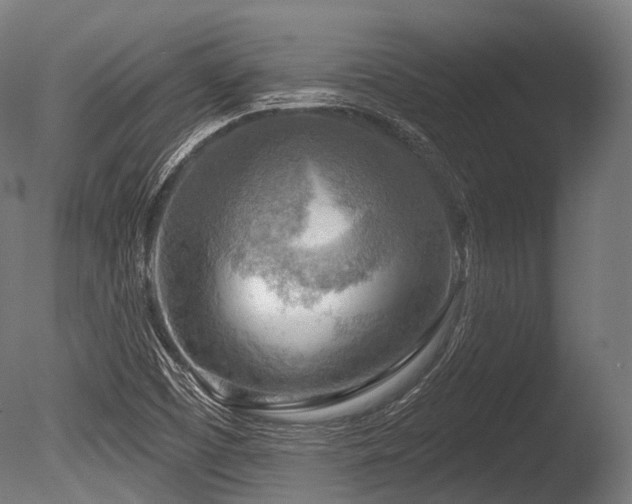 X0000086001457200703231132