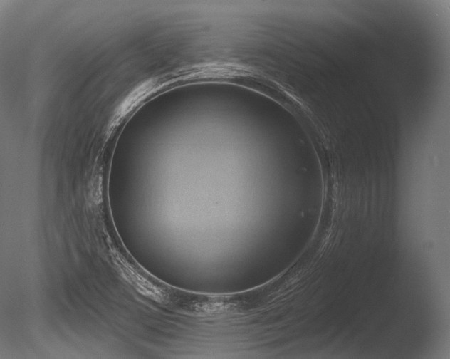 X0000086001459200703231132