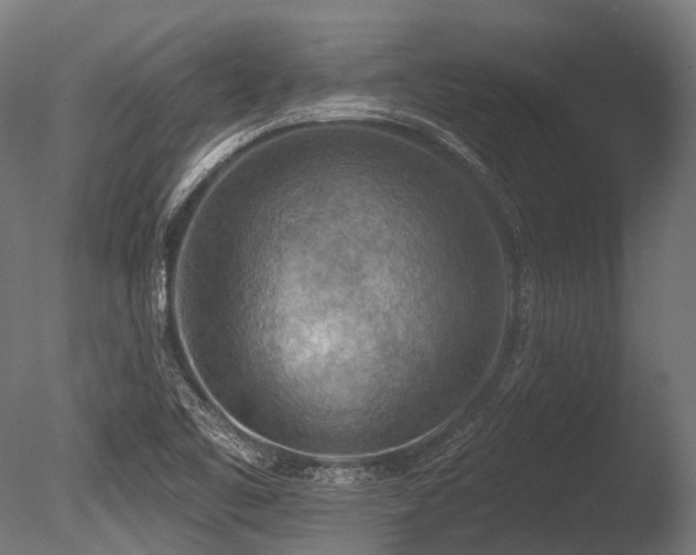 X0000086001461200703231132