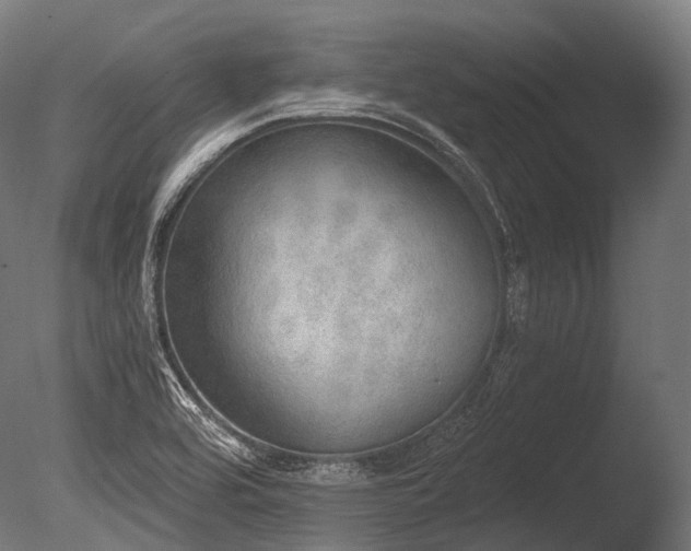 X0000086001464200703231132