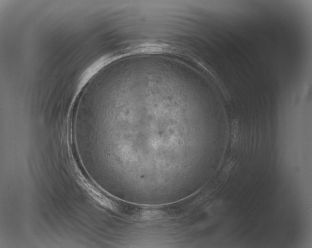 X0000086001467200703231132
