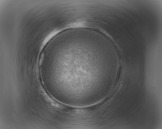X0000086001469200703231132